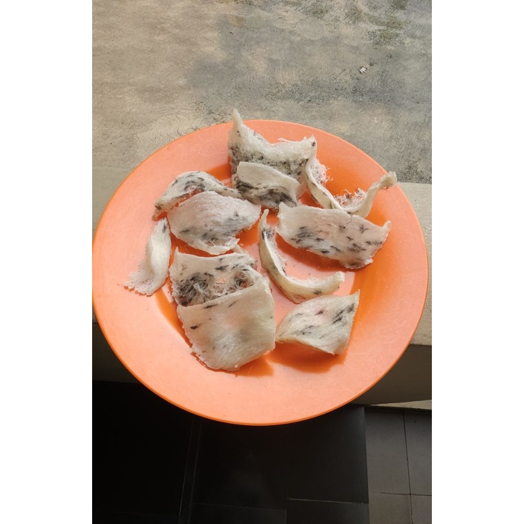 Sarang burung walet Kalimantan asli, masih kotor