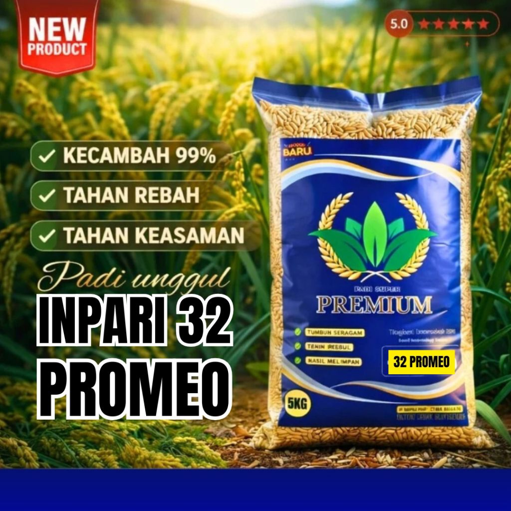 BENIH PADI UNGGUL INPARI 32 PROMEO 5KG