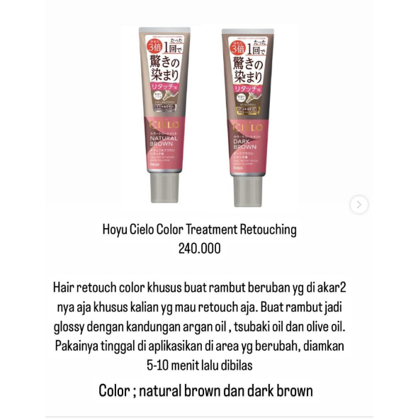 Hoyu Cielo Color Treatment Pewarna Rambut Beruban Gray Hair