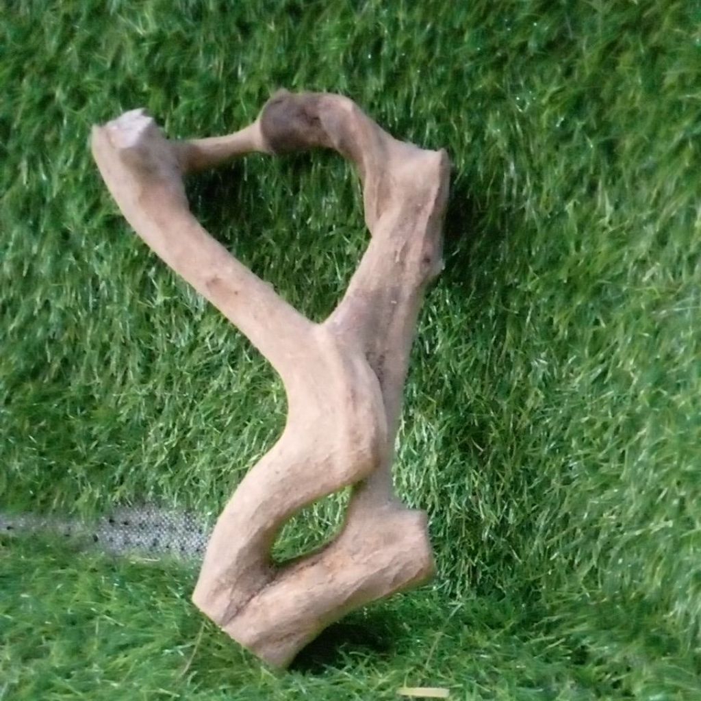 akar mimang unik asli alami