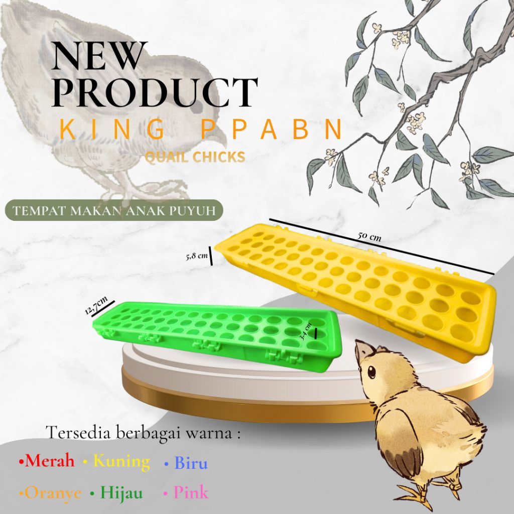 Wadah pakan anak burung puyuh umbaran koloni lubang 42 | quail chick | Chicks