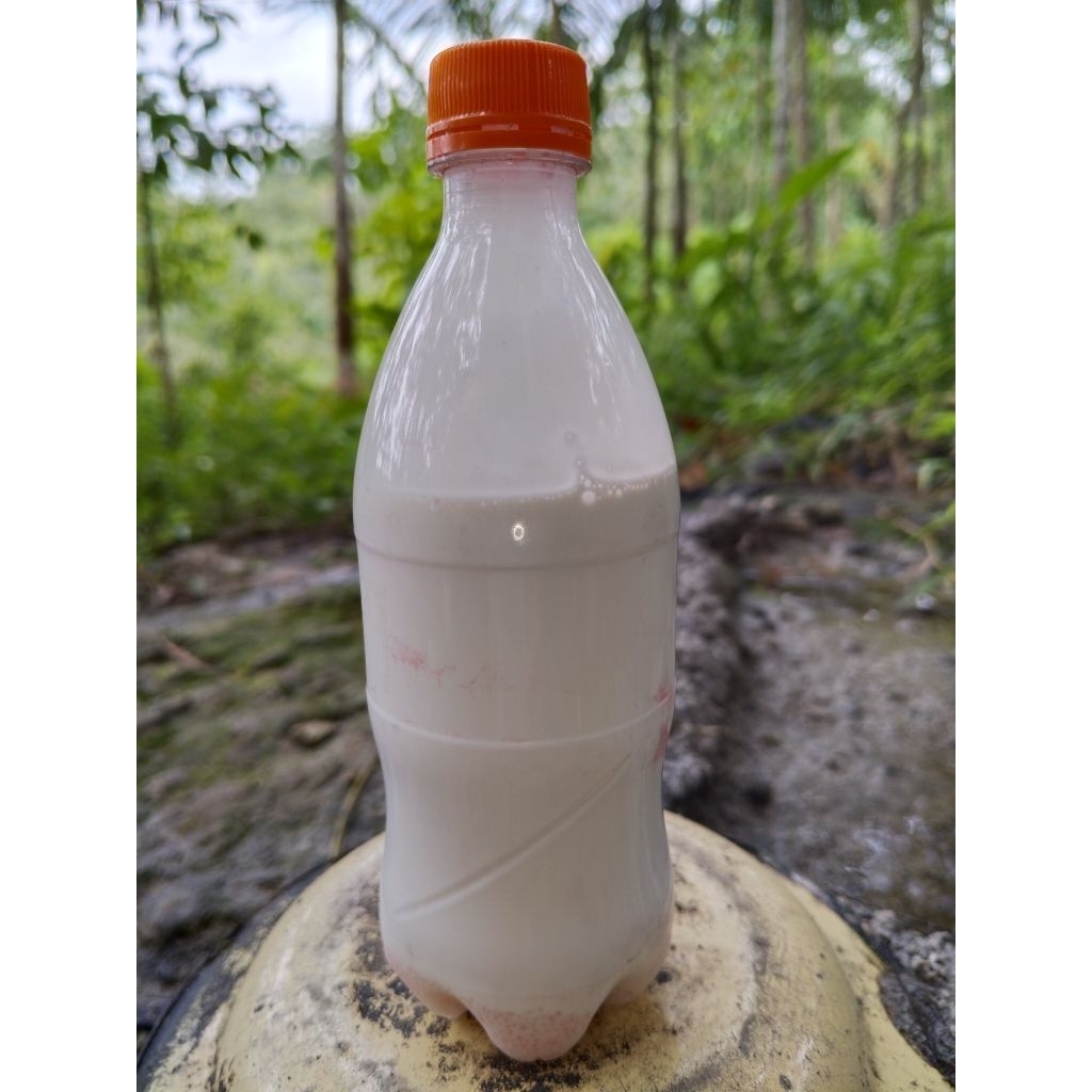 Lem Pulut Getah Karet Cair isi 200mil (COD)