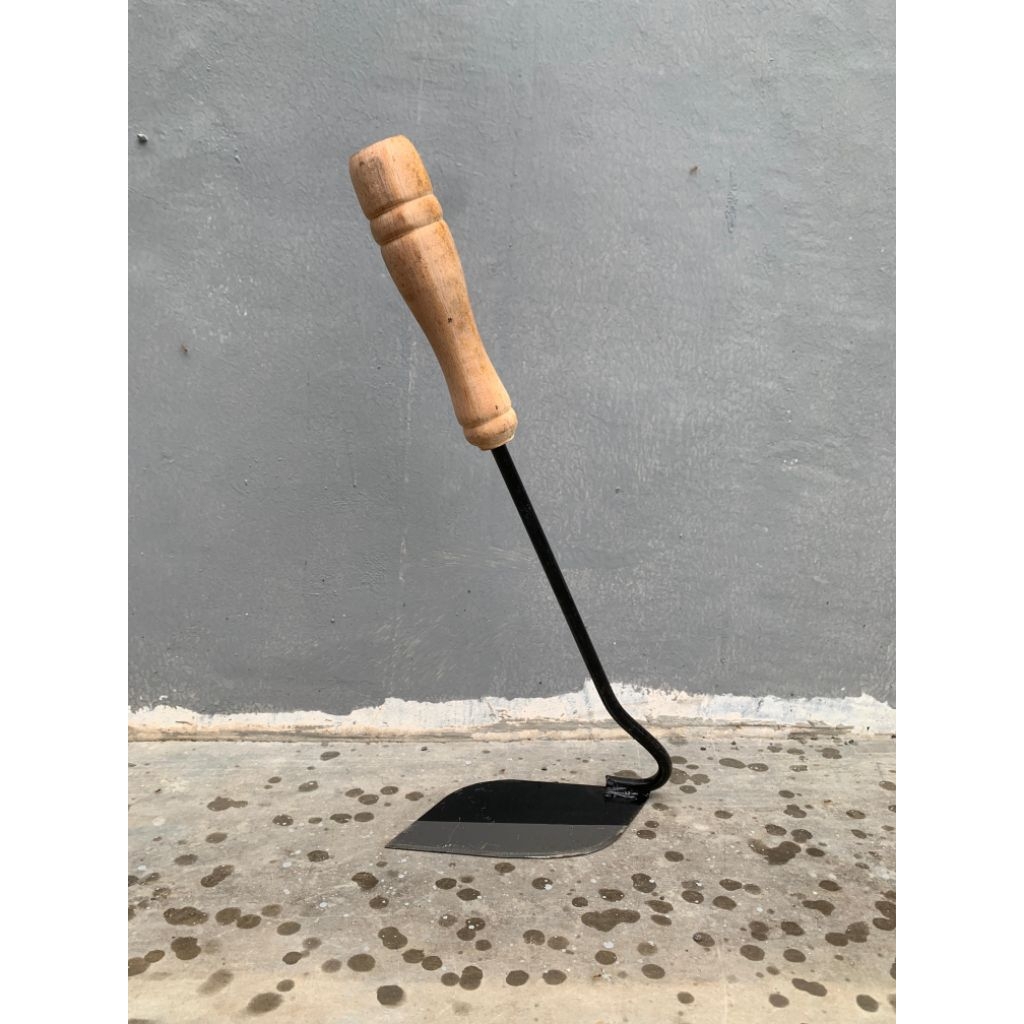 wangkil mireng baja wangkil kored rumput