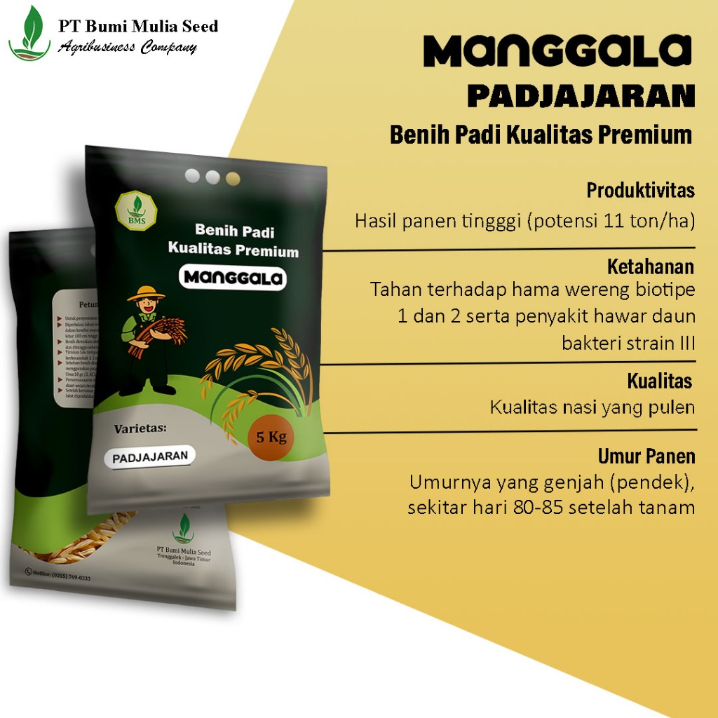 Benih Padi Manggala Padjajaran 5 Kg