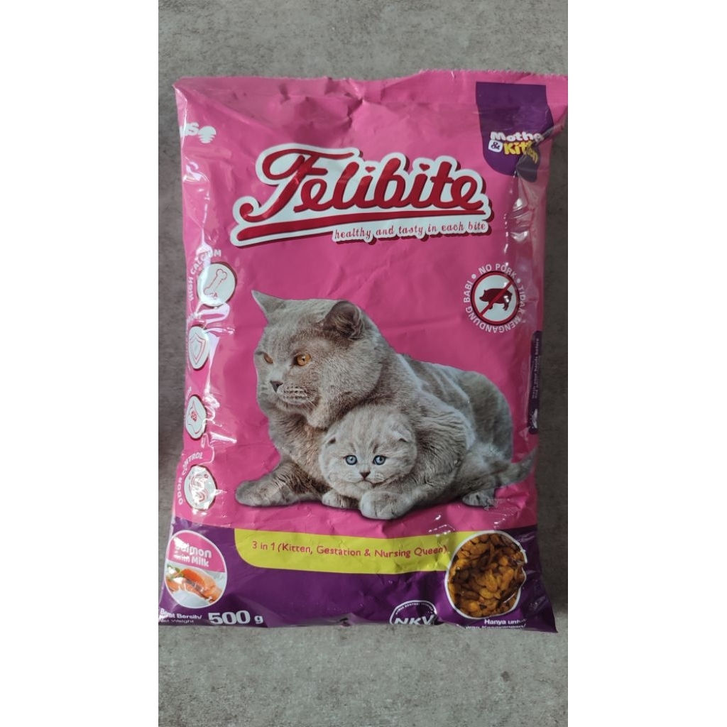 felibite mother& kitten