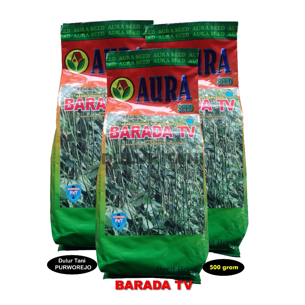 Kacang Panjang BARADA TV 500 gram