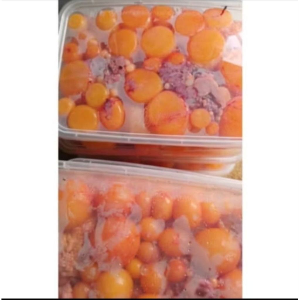 telur ayam muda atau uritan