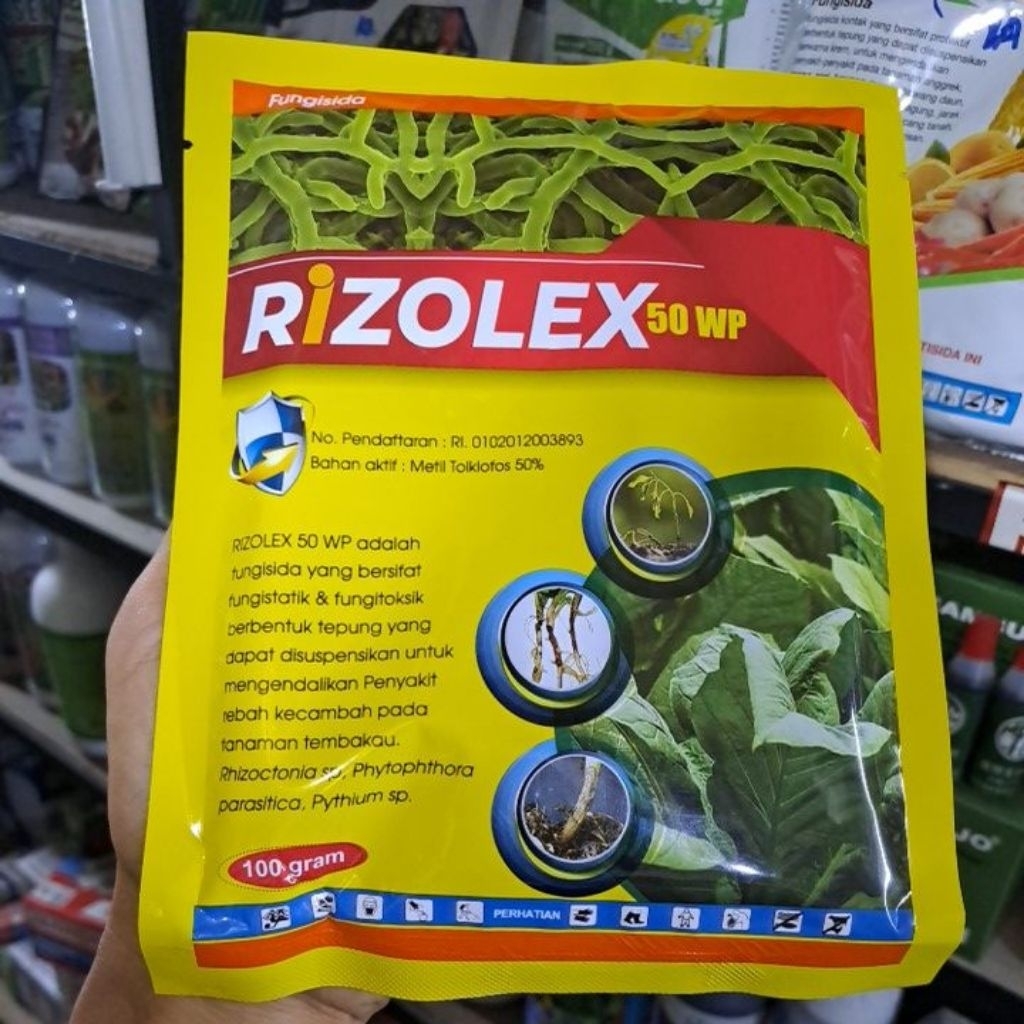 Fungisida Rizolex 50 WP 100gr  Rizolex Obat layu/anti layu/pencegah layu/layu fusarium/layu bakteri