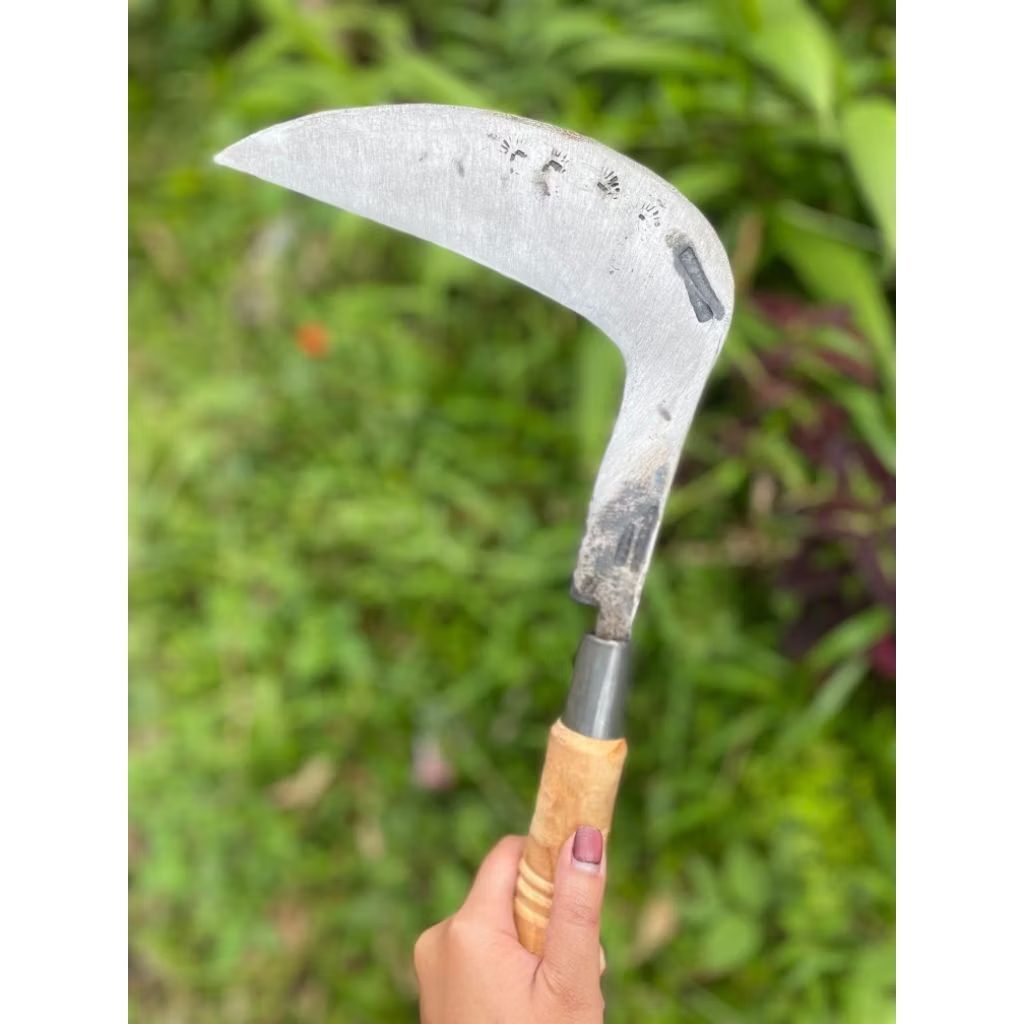 arit rumput baja isen cap mata Wonosobo