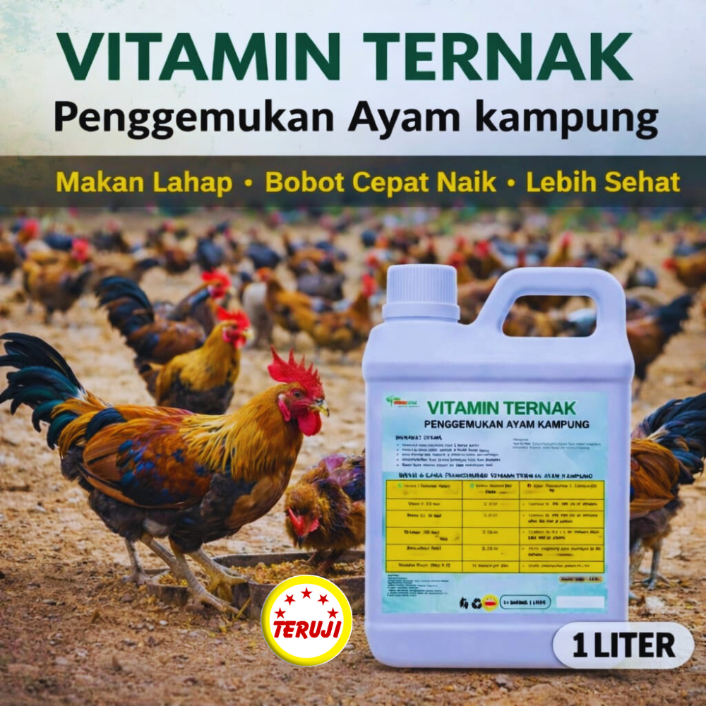 Vitamin Ayam Kampung Cepat Gemuk Obat Penggemukan Ayam Kampung  Nafsu Makan Tinggi Cepat Besar Sehat
