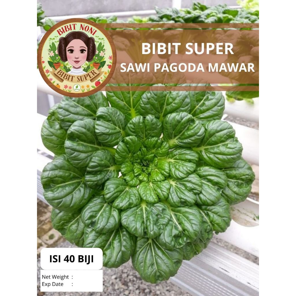 Bibit Super Sawi Pagoda Mawar | Biji Benih Sawi Pagoda