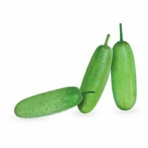 10 Biji Benih Timun WUKU