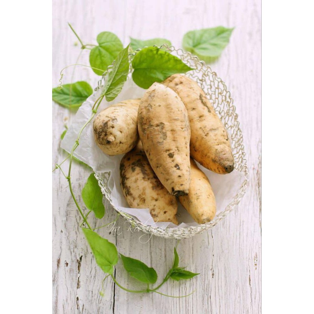 Ubi Cilembu Mentah 1 Kg