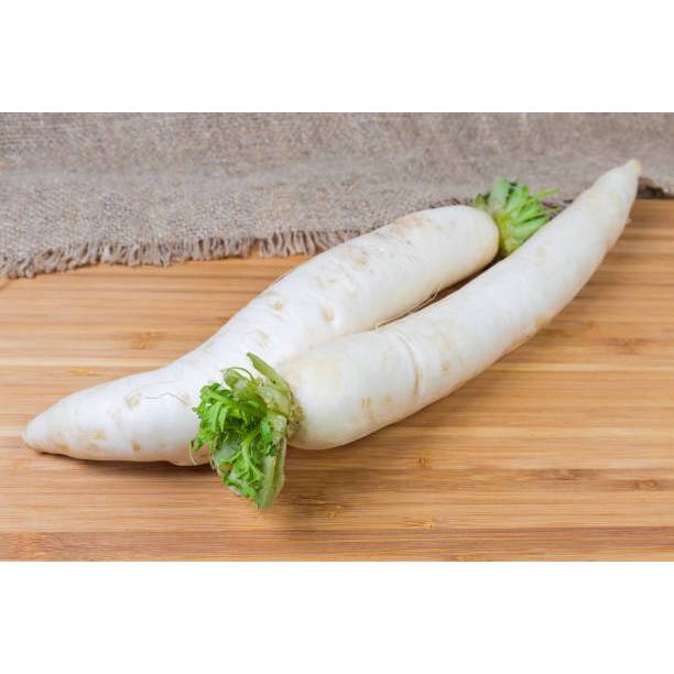 TANAMAN SUPER BENIH LOBAK PUTIH