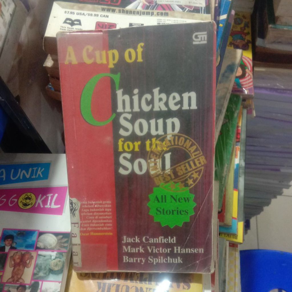 chicken soup for the soul