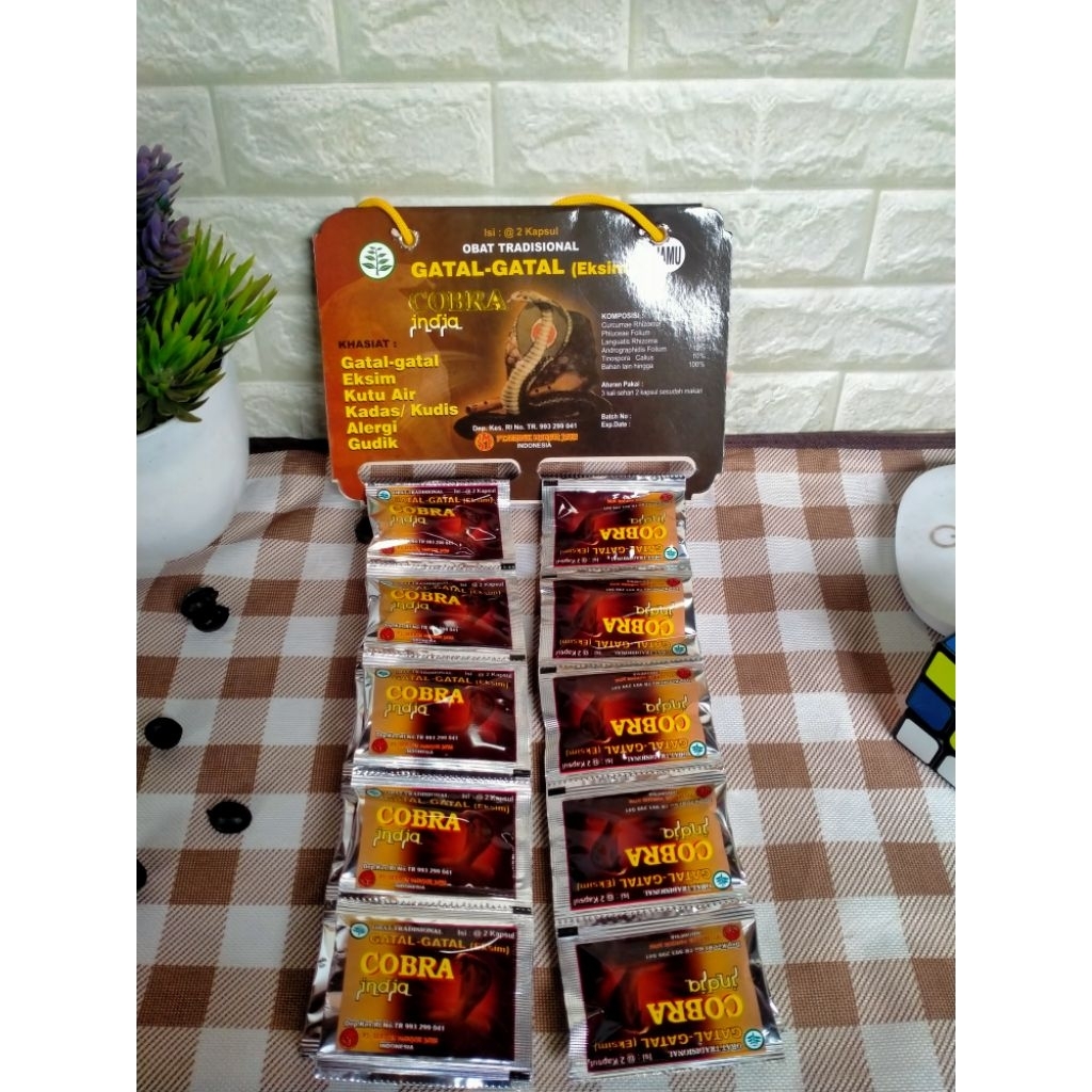 obat gatal cobra india