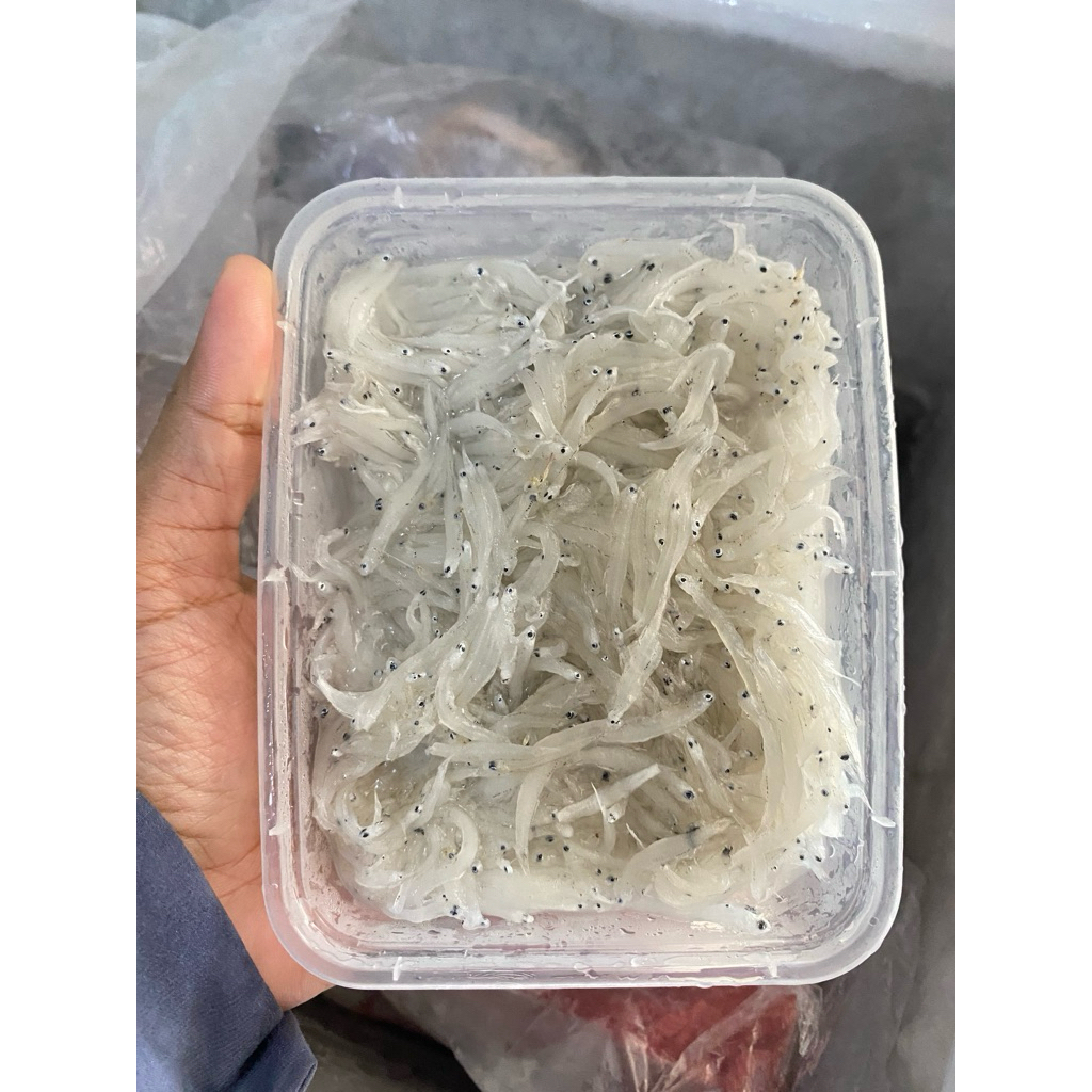 HOMEMEAT TERI MEDAN BASAH/TERI NASI BASAH SEGAR