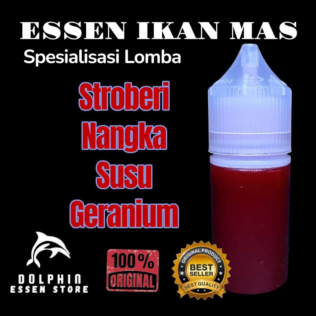 Essen Ikan Mas Aroma Stroberi Nangka Susu Geranium Paling gacor, umpan mancing parajuara