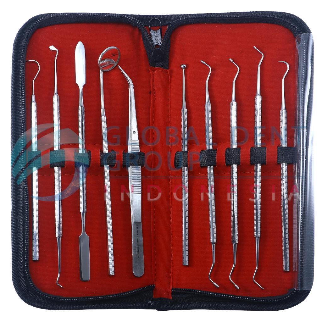 SCHEZHER BASIC INSTRUMENT DIADNOSTIC SET (10 PCS) Alat Dokter Gigi Dasar Dental Basic Instrument Kit