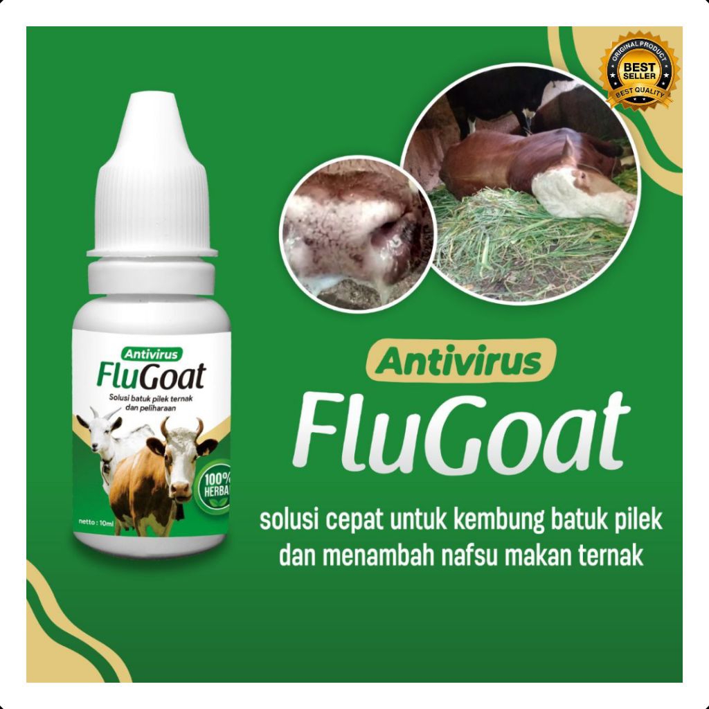 BERKUALITAS  Obat Kambing Flu Batuk, Obat Kambing Flu Dan Batuk, Obat Kambing Flu Herbal