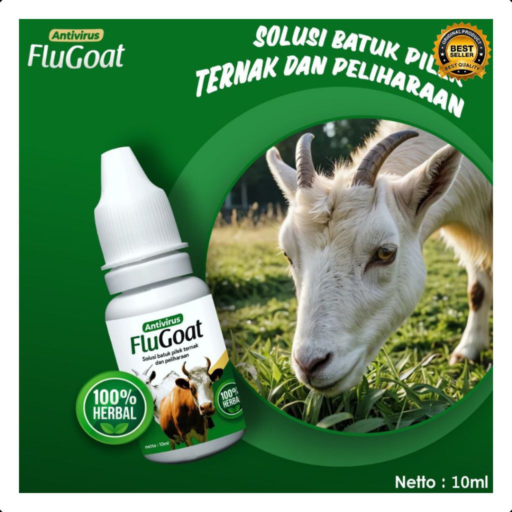 TERAMPUH  Obat Kambing Flu Alami, Obat Kambing Flu Batuk, Obat Kambing Flu Dan Batuk
