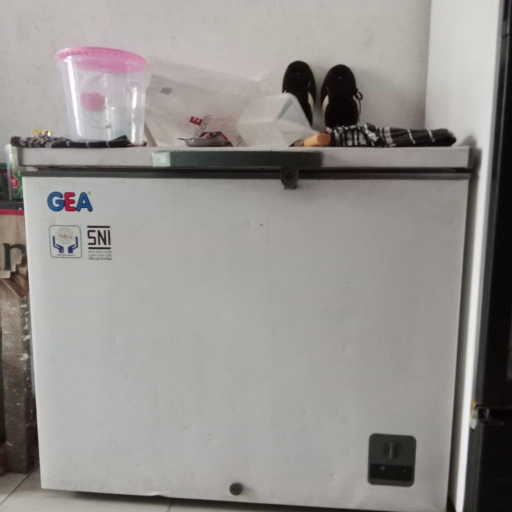 showcase RSA dan freezer GEA 200liter