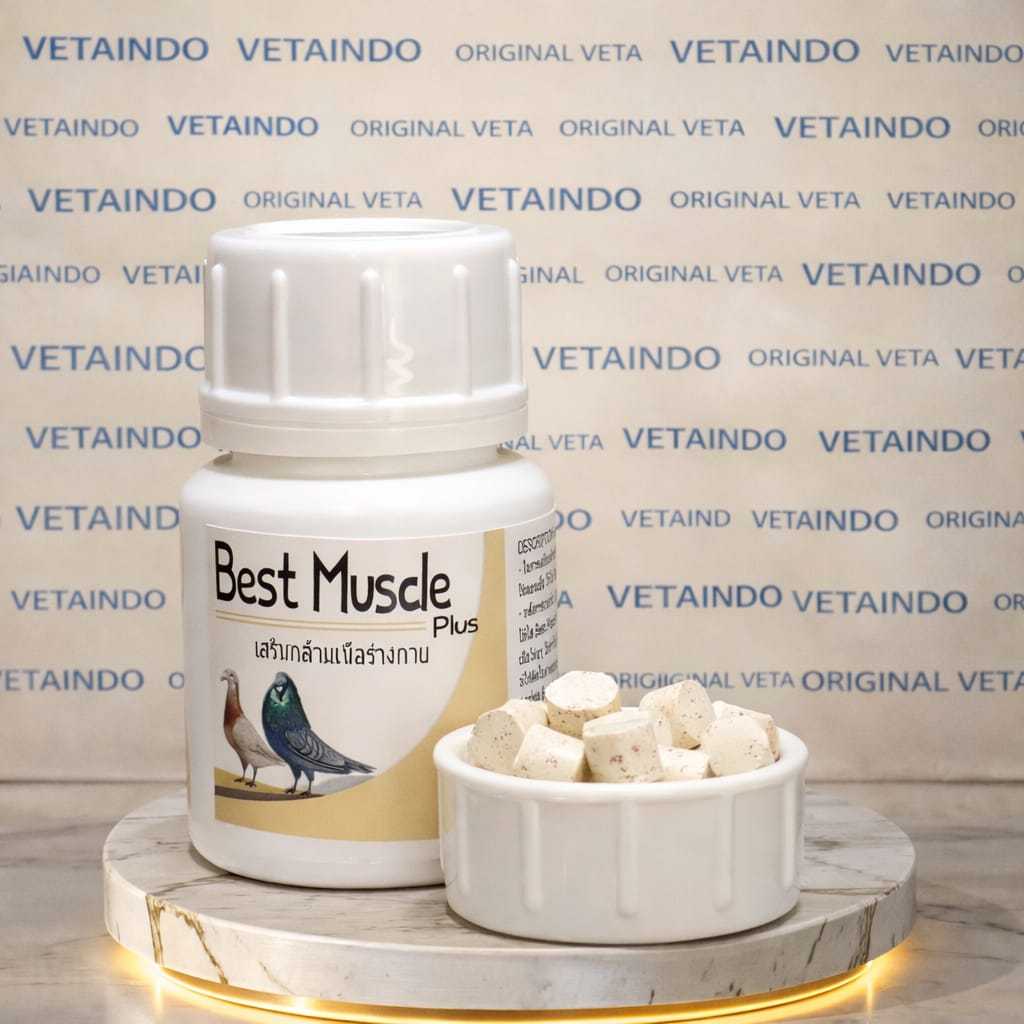B3ST MUSCLE PLUS SUPLEMEN PEMBENTUK OTOT BURUNG MERPATI TERBANG VITAMIN IMPORT
