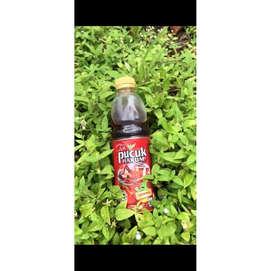 Teh pucuk harum 250ml
