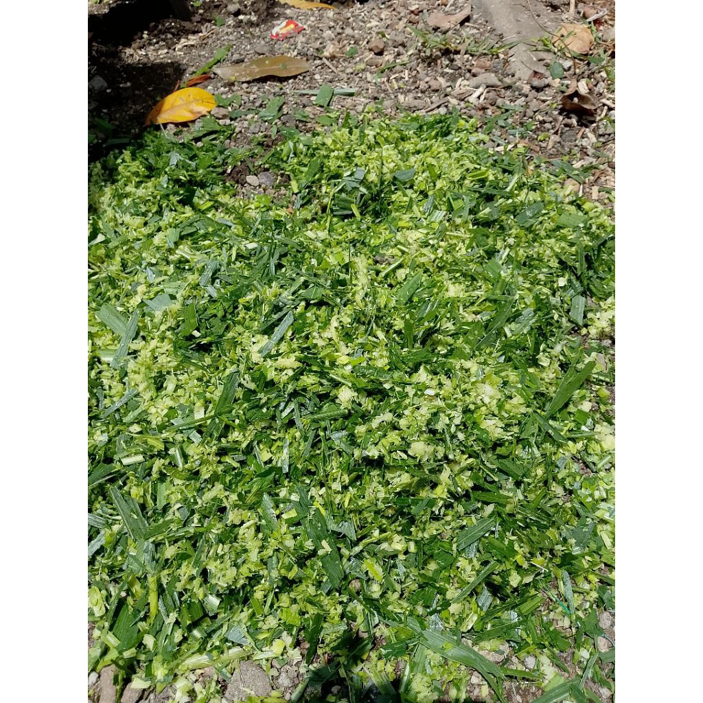 mesin choper type cobek