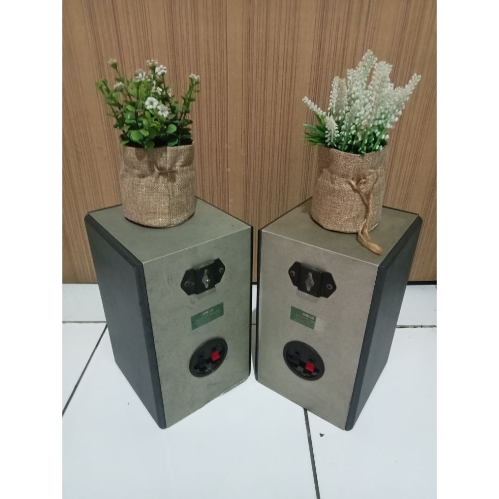 Speaker Pasif Surround AOWA