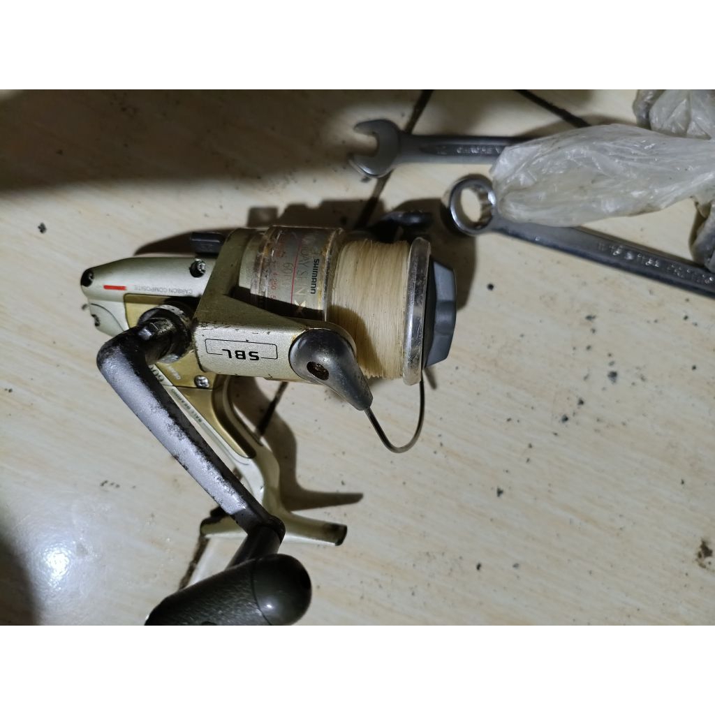 rill pancing Shimano holiday spin