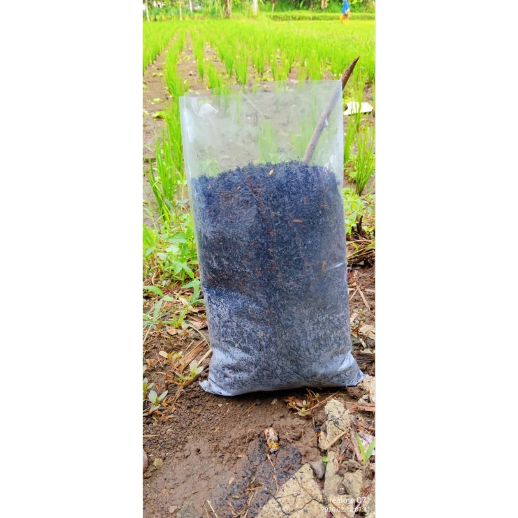 sekam padi bakar media Tanam premium Halus untuk tanaman,tanaman hias&Hidroponik