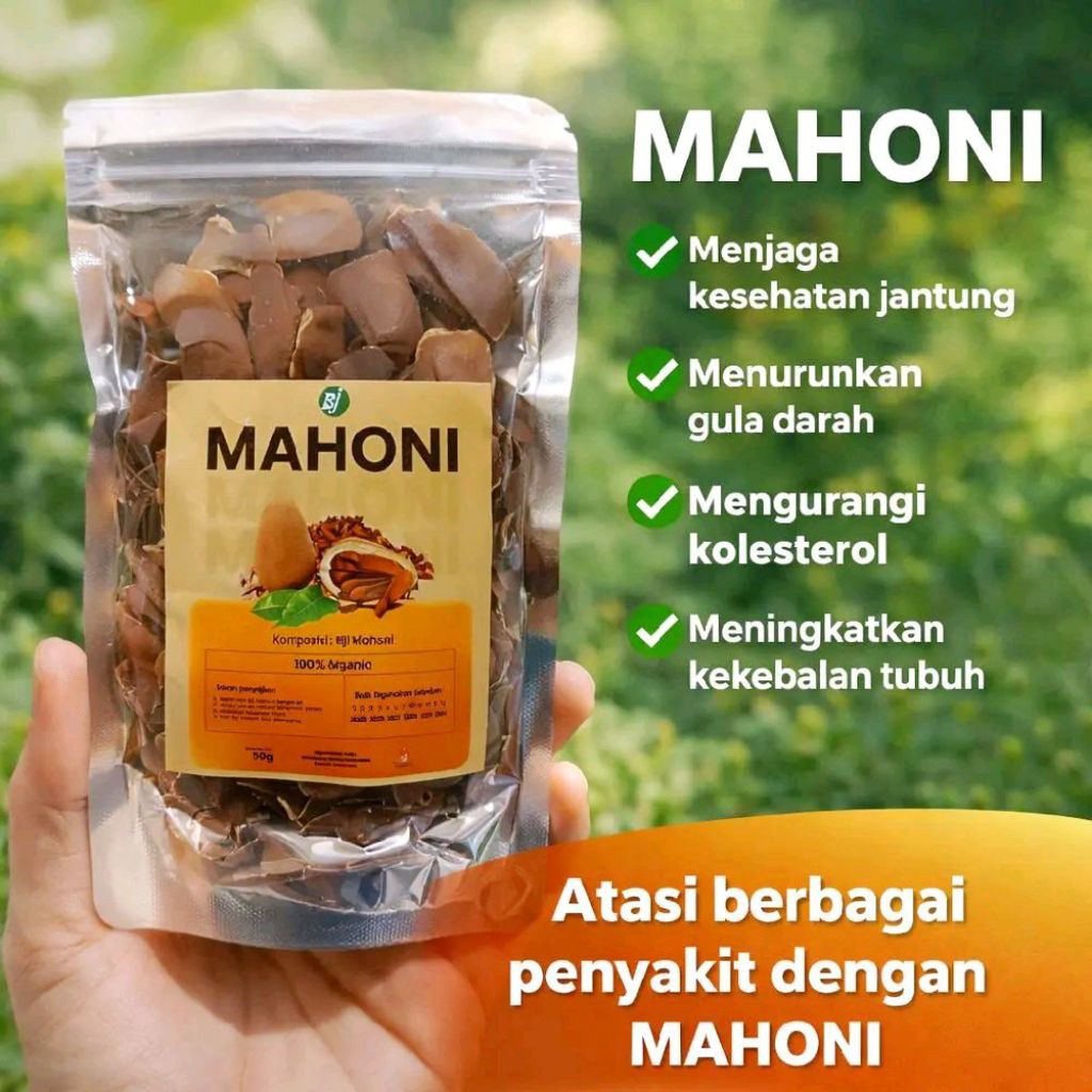 Biji Mahoni Organik 50 gram | Herbal Biji Mahoni Asli