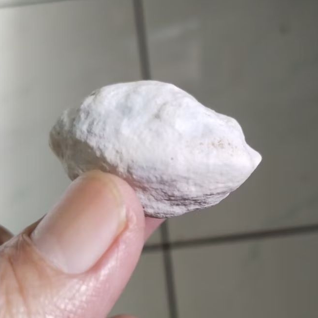 Kemiri Adu Muncang Adu Jayanti Si Karet Anak 4G Urgen Tua Jatuhan