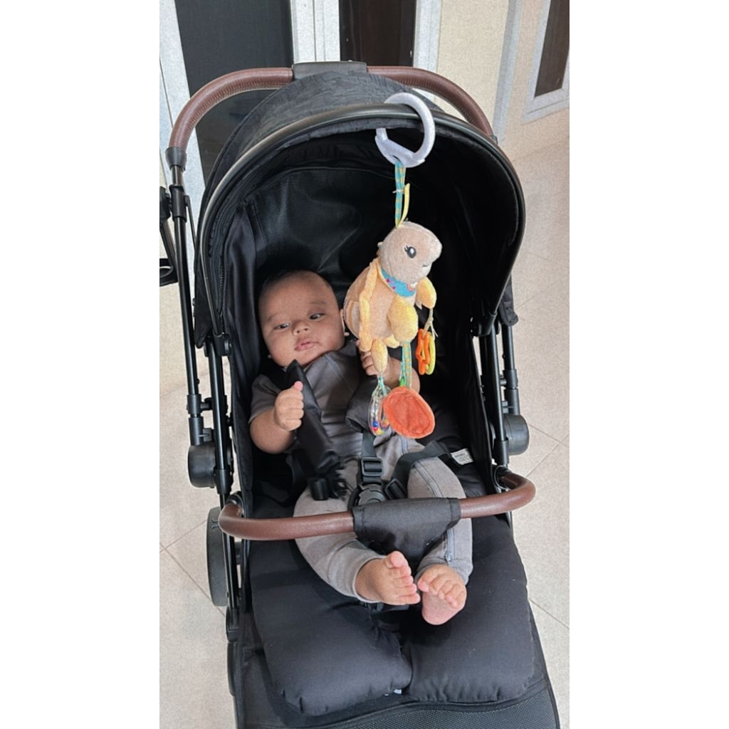 Preloved violi transform black like new