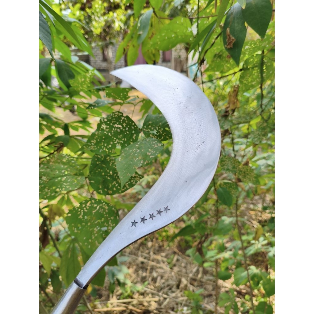 Arit/Sabit Rumput Baja Asli Madura Super Tajam