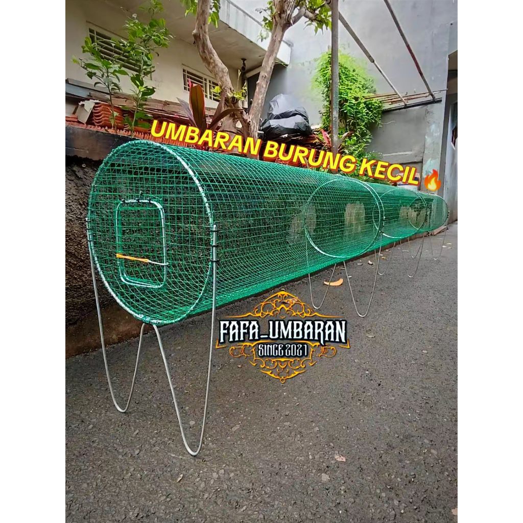 UMBARAN BULAT SLEDING BURUNG KECIL