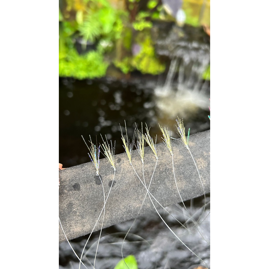 umpan bulu sabiki/kotrekan