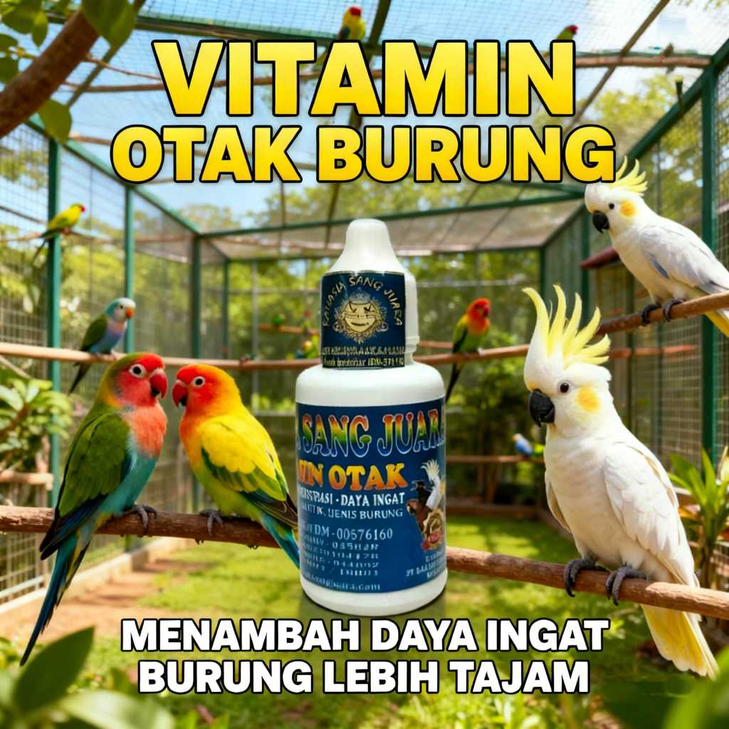 Vitamin Otak Burung 30ml - Penambah Daya Ingat Dan Konsentrasi Burung Lebih Tajam & Fokus