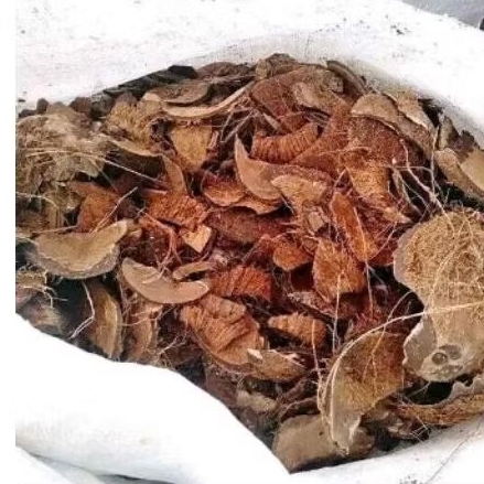 Batok kelapa kering / Batok kelapa tua satu kilo