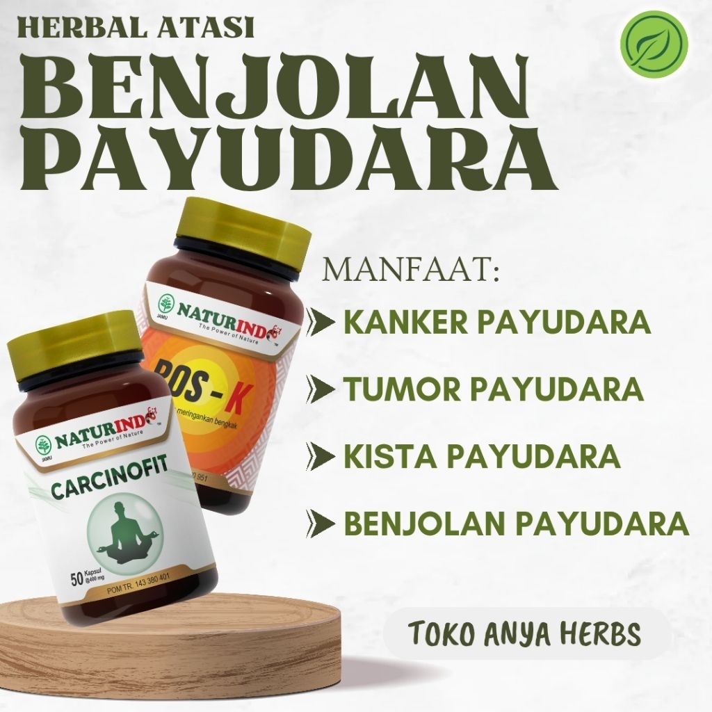 Obat Herbal Benjolan Payudara Tumor Payudara Kanker Payudara Pria Dan Wanita Fam Naturindo