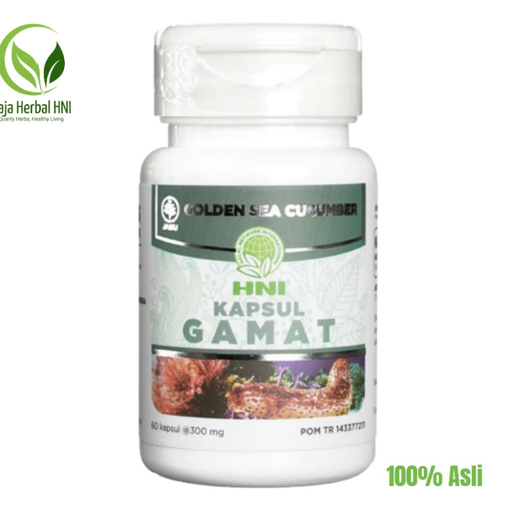 Kapsul Gamat HNI Obat Nyeri Sendi