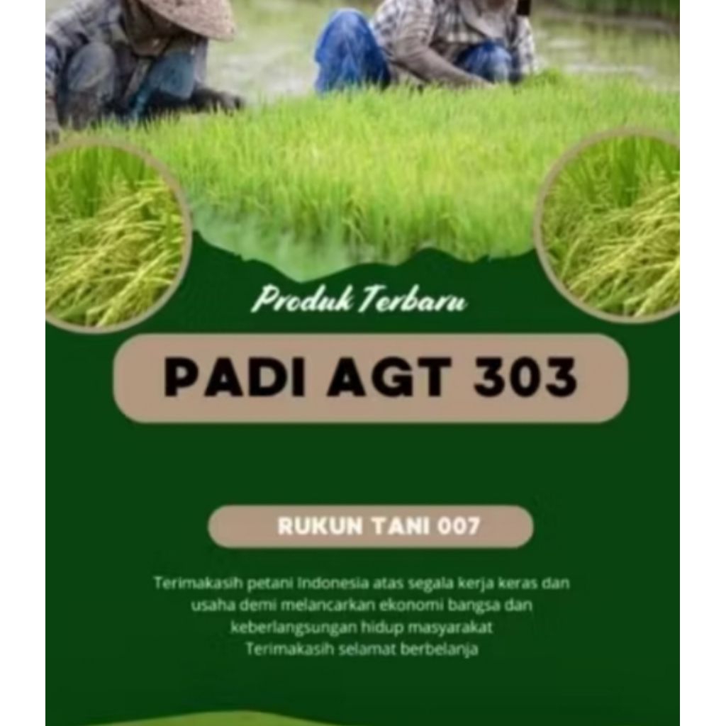 AGT 303 ASLI