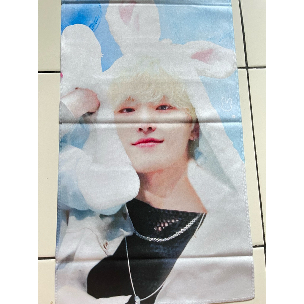 [PRELOVED] SLOGAN DINO SEVENTEEN