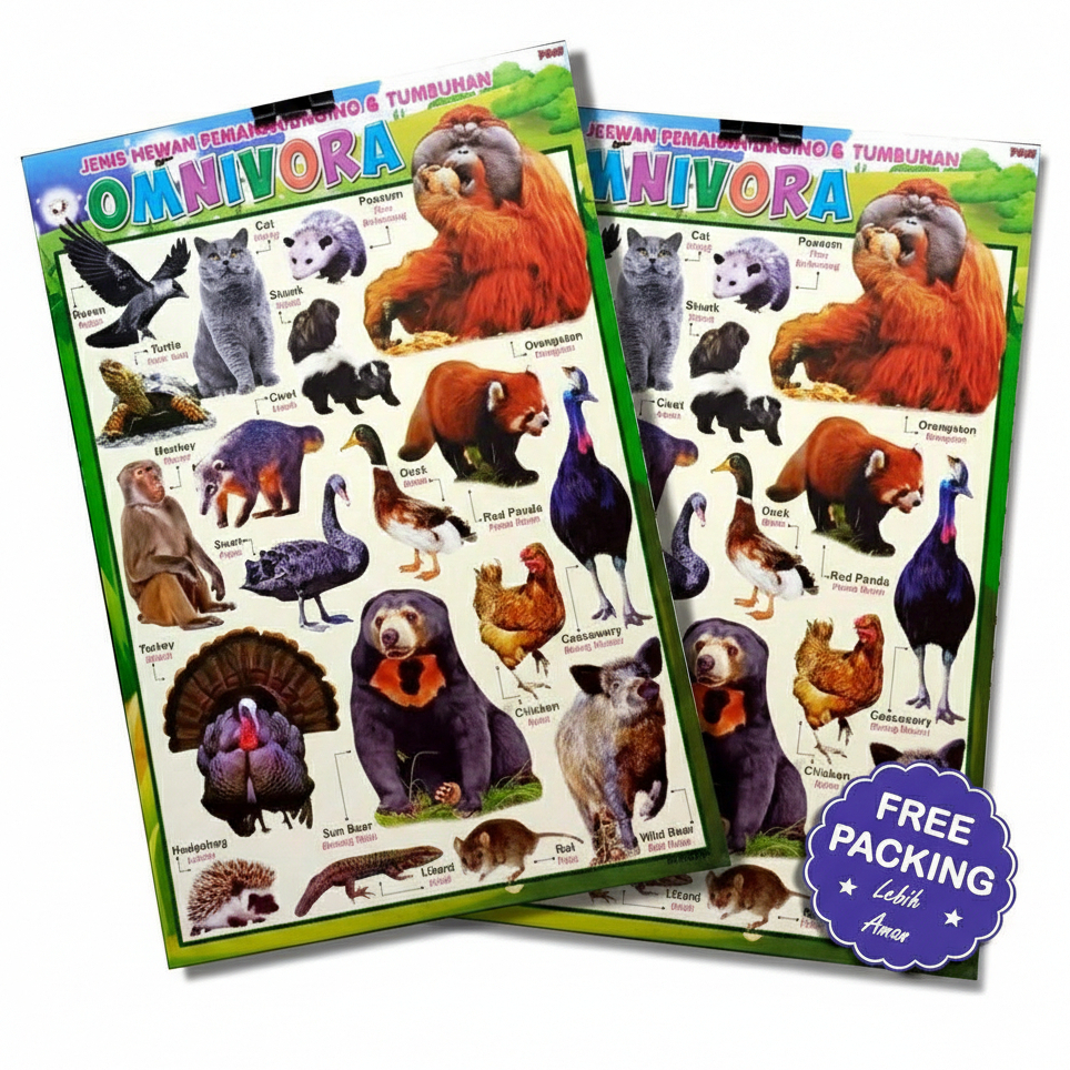 Poster Binatang Omnivora Poster Anak Mengenal Aneka Binatang Omnivora