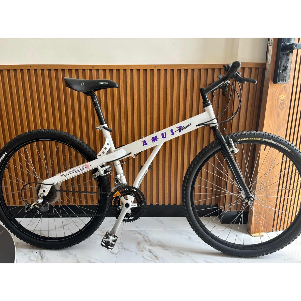 MTB VINTAGE AMUST BY NISHIKI