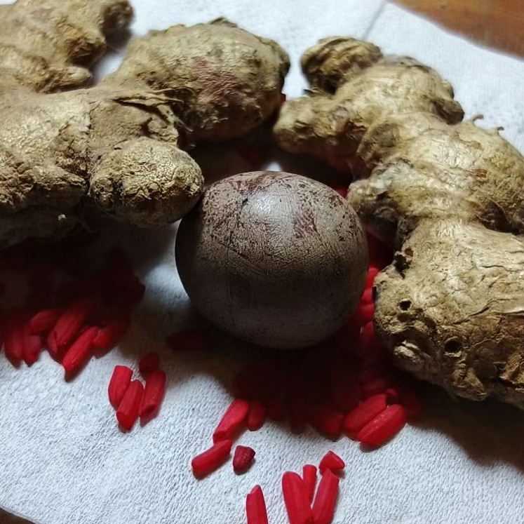 Batu alam batu telur kocak warna coklat polos