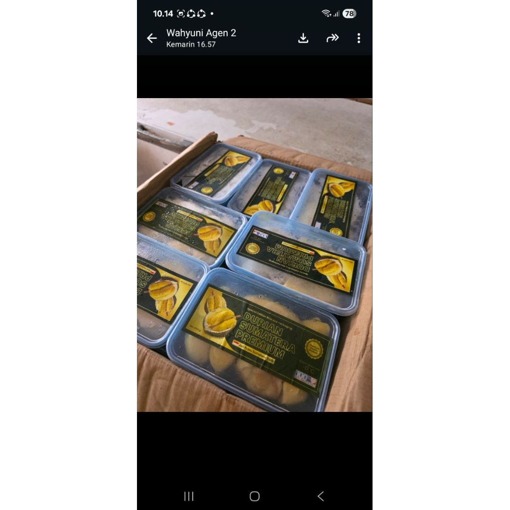 Durian Kupas Blue Box