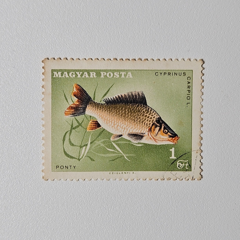 Perangko Tematik Fauna Ikan: Cyprinus Carpio 1 Ft (Perangko Klasik 1960)
