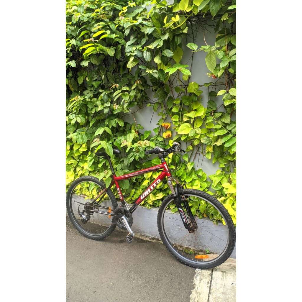 sepeda united miami xc 02
